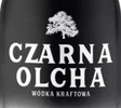 Czarna Olcha