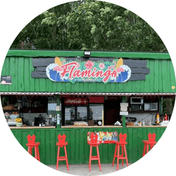 bar Flamingo