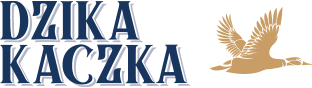 Dzika kaczka